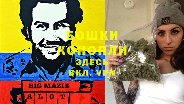 дмт Алзамай