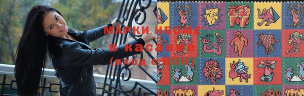 дмт Алзамай