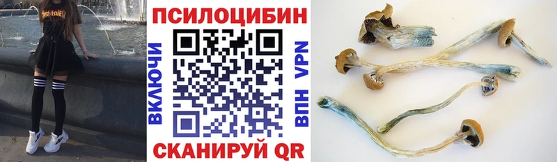 сколько стоит  МЕГА сайт  Псилоцибиновые грибы мицелий  Белебей 